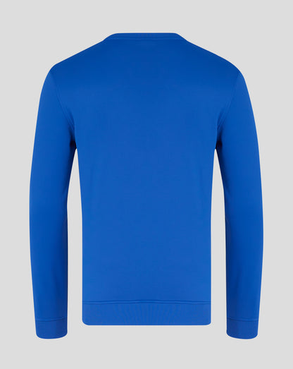 Mens Brushback Sweatshirt - Surf The Web